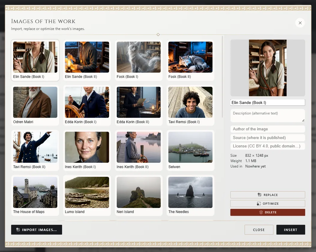 Images of the work: the library, the selected image with its details and the import button